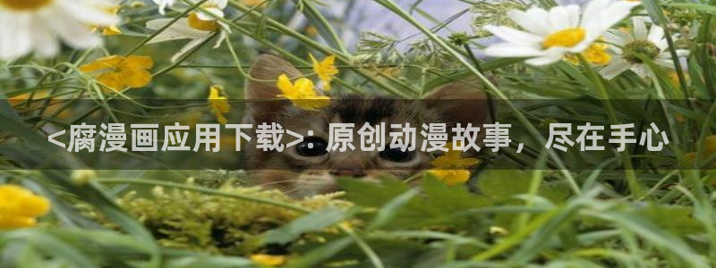 yy漫画首页登录入口页面在哪：<腐漫画应用下载>: 原创动漫故事，尽在手心