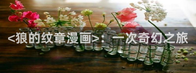 yy漫画首页登录入口页面在哪：<狼的纹章漫画>：一次奇幻之旅