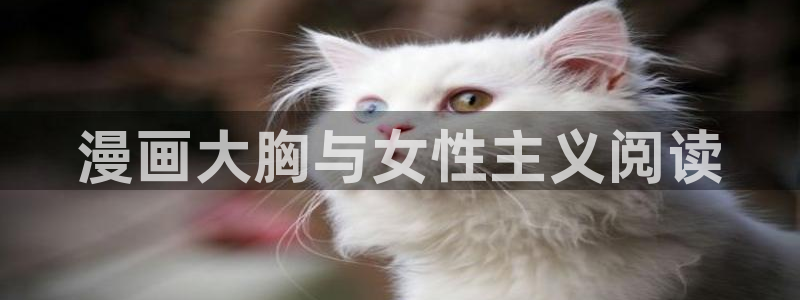 yy漫画在线观看免费观看：漫画大胸与女性主义阅读