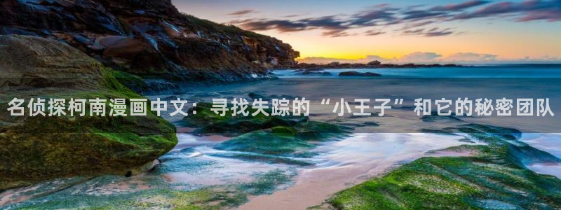 yy漫画免费阅读,下拉式网页：名侦探柯南漫画中文：寻找失踪的“小王子”和它的秘密团队