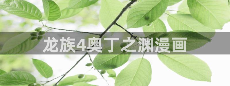 yy漫画网址入口：龙族4奥丁之渊漫画