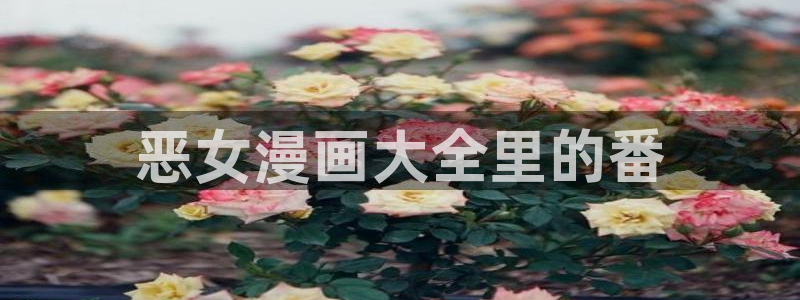 yy漫画无遮挡：恶女漫画大全里的番