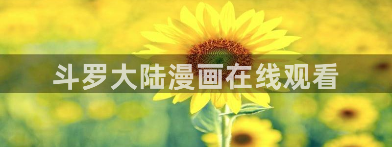 yy漫画网韩版：斗罗大陆漫画在线观看